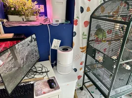 Air Purifier questions
