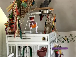 Tami2's Old Photo Album