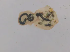 I'm new on here and need some help