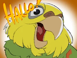 Help us choose our future parrot!