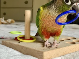 May Photo of the Month contest!