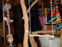 Nora's Homemade Jungle Gym!