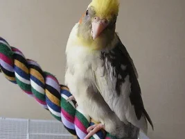 Hi! New here
