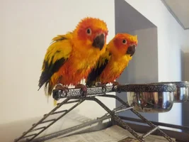 Bath Time Question