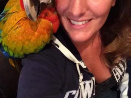 Newbie to Macaws - Rescued my babies