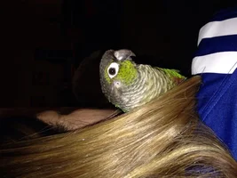 Please help!
