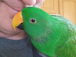 Happy 10th Hatch Day Tucker!!!