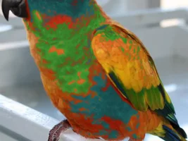 Breeding Birds with Magic Markers ;-)