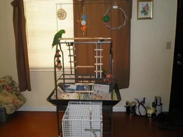 Is this cage suitable?