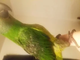 Is this normal?