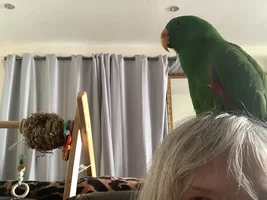 Mmm my favourite place to be.