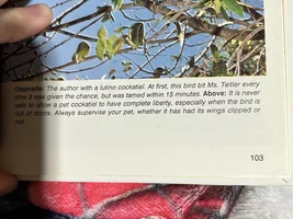 Parrot Books!
