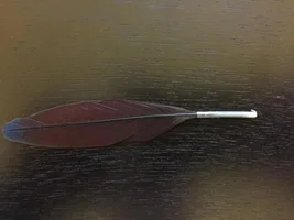 Broken blood feather kinda?
