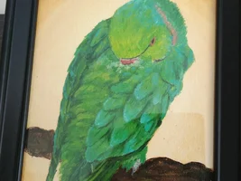 PF Art Contest 2022! (Closed)