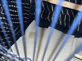 Parakeet poop concern