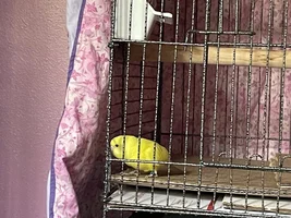 New baby!