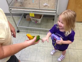 Visiting the Parrots