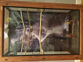Beautiful majestic bird cage for sale!