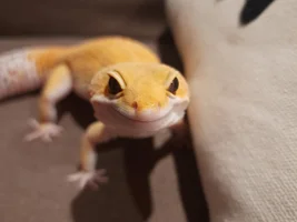 Happy Hatchday Charles!