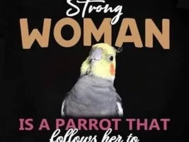 The best Bird meme!!