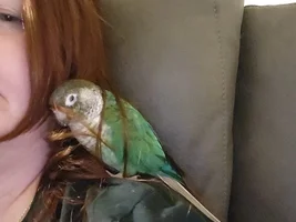 Please help