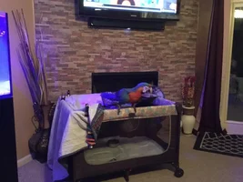 Need Advice on my baby Catalina