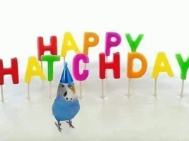 Happy 10th Hatchin' Day to my lil Salty!
