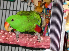 Terry57's Old Photo Album