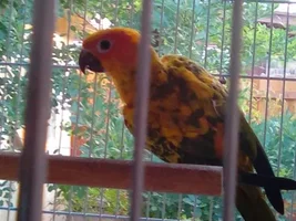 Quick ID plz