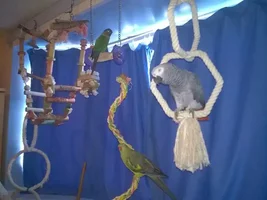 Anyone on here in Hampshire, UK looking to rehome?