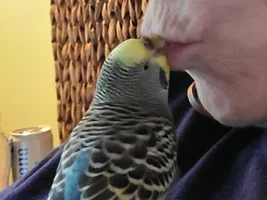 Share a quick picture