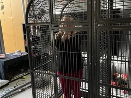 Which cage for 2 ekkies?