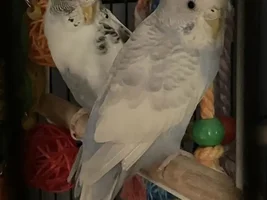 I'm new here but can I see your babies? 🥰