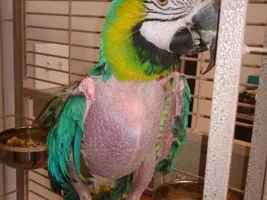 Need some advice...