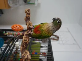 Hello from Us!