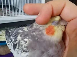 September 2019 POTM Contest!!