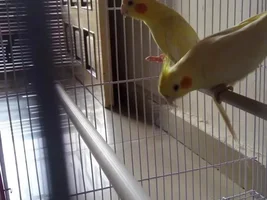 Is this normal ?