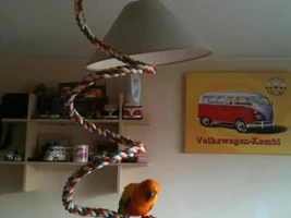 tilly...