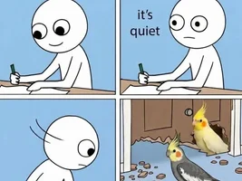 The best Bird meme!!