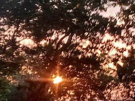share your sunset photos!