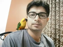 from country where ppl love birds but not as pet