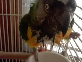 Hello :3