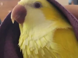 April 2022 POTM Contest!
