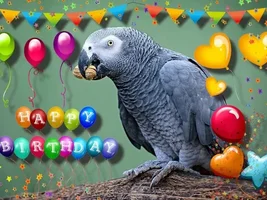 Happy Birthday, roadrunner413