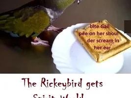 The Rickeybird Scrapbook, 1984 - Updates