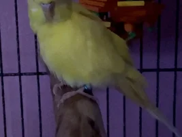 New baby!
