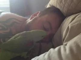 Waaaake Up Dad!!!