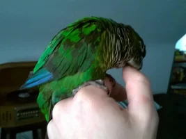 Hey guys!