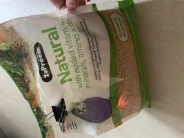 6 week old Lovebird - need urgent help