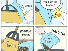 The best Bird meme!!